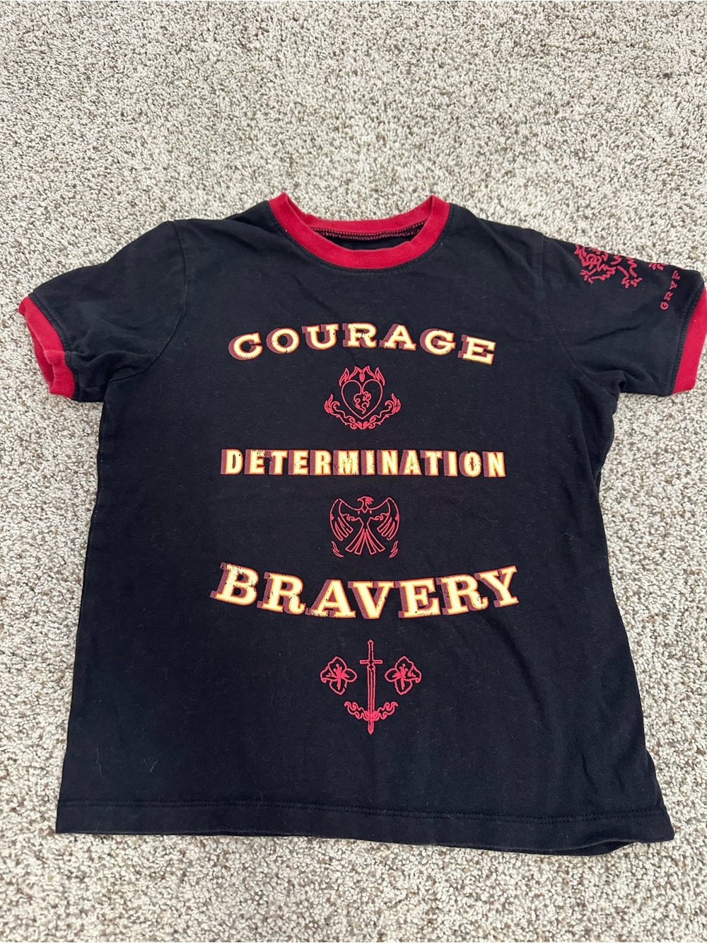 Harry Potter. Black Tee with Red Trim and Motivational Graphic